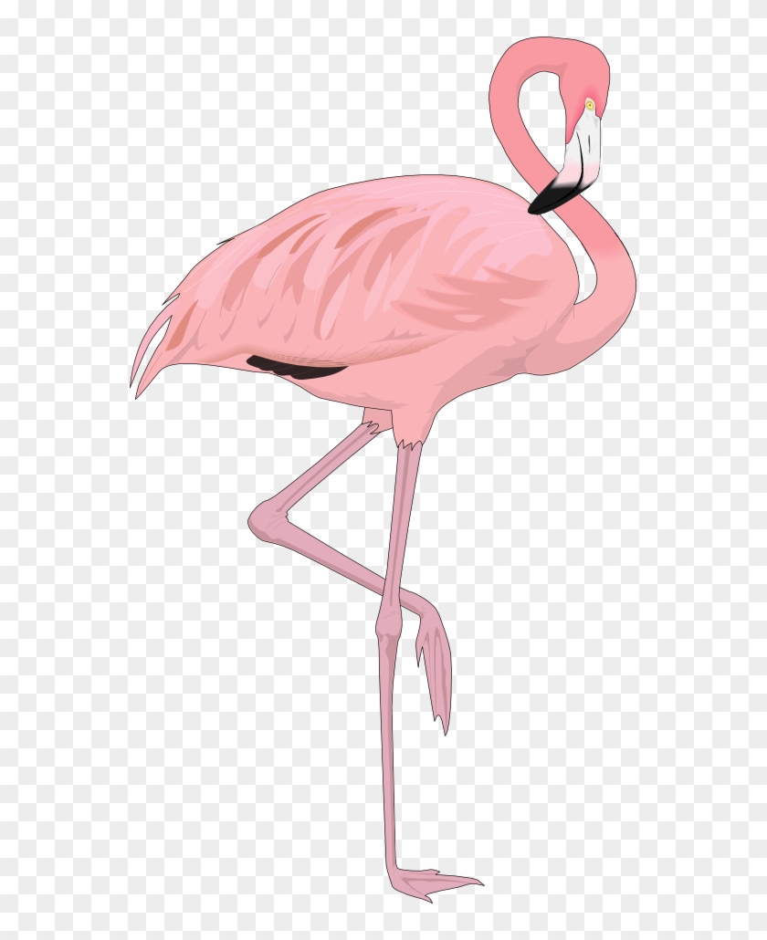 Pink Flamingo Free Cliparts And Others Art Inspiration - Beautiful Flamingo Throw Blanket #244405