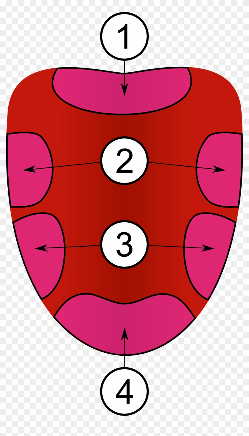 Tongue Images Taste Tongue Map That 1 Tastes V7cqxo - Taste Buds In Tongue #246545