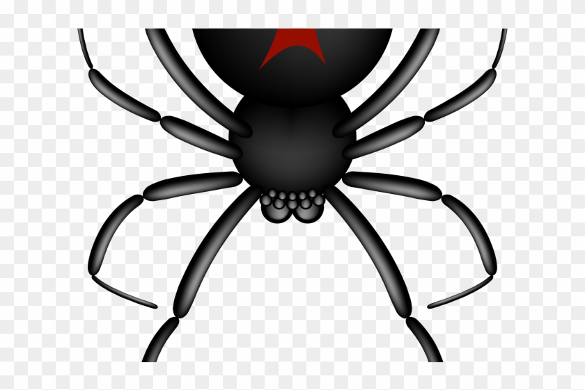 Black Widow Clipart Baby Spider - Black Widow Clipart Baby Spider #1581811