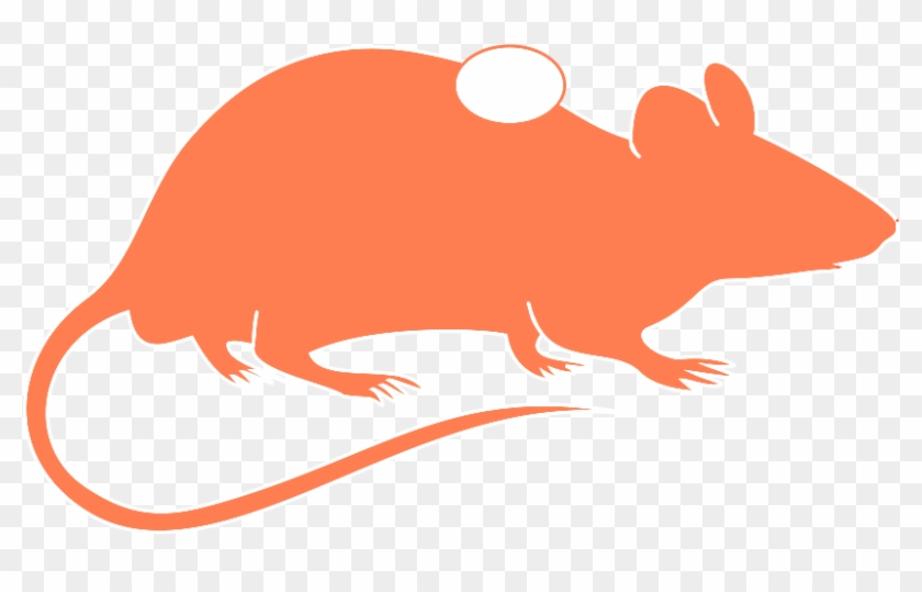 Animal Models Title Xenogeneic - Animal Models Title Xenogeneic #1581989