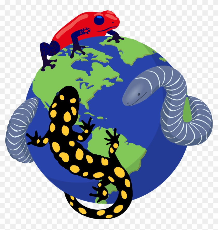 Amphibiaweb News Of The - Amphibiaweb News Of The #1583171