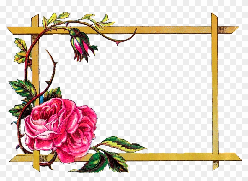 Digital Clipart Craft Rose Border Download - Digital Clipart Craft Rose Border Download #1583242