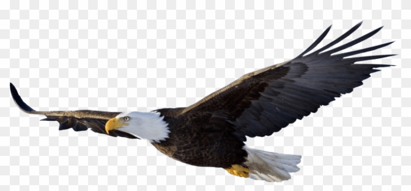 850 X 357 12 - 850 X 357 12 #1583445