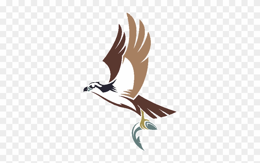 Osprey Classroom - Osprey Classroom #1583587