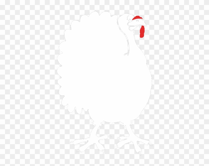 Turkey - Turkey #1583596