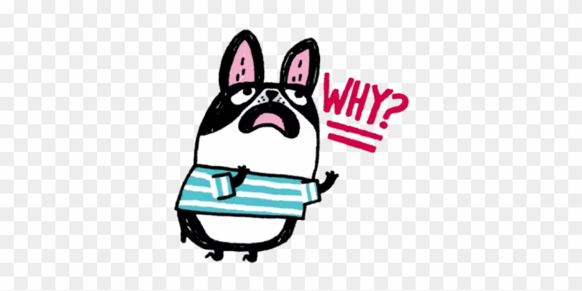 Why Вхай - Why Вхай #1583893