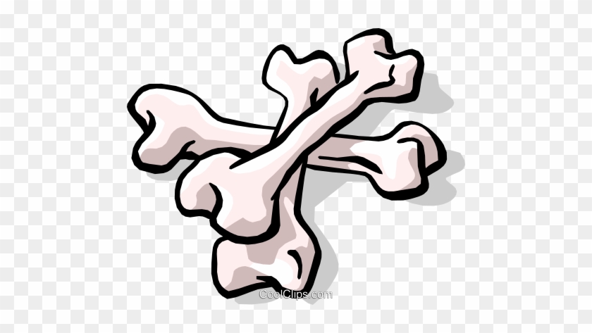Bones Royalty Free Vector Clip Art Illustration - Bones Royalty Free Vector Clip Art Illustration #1583927