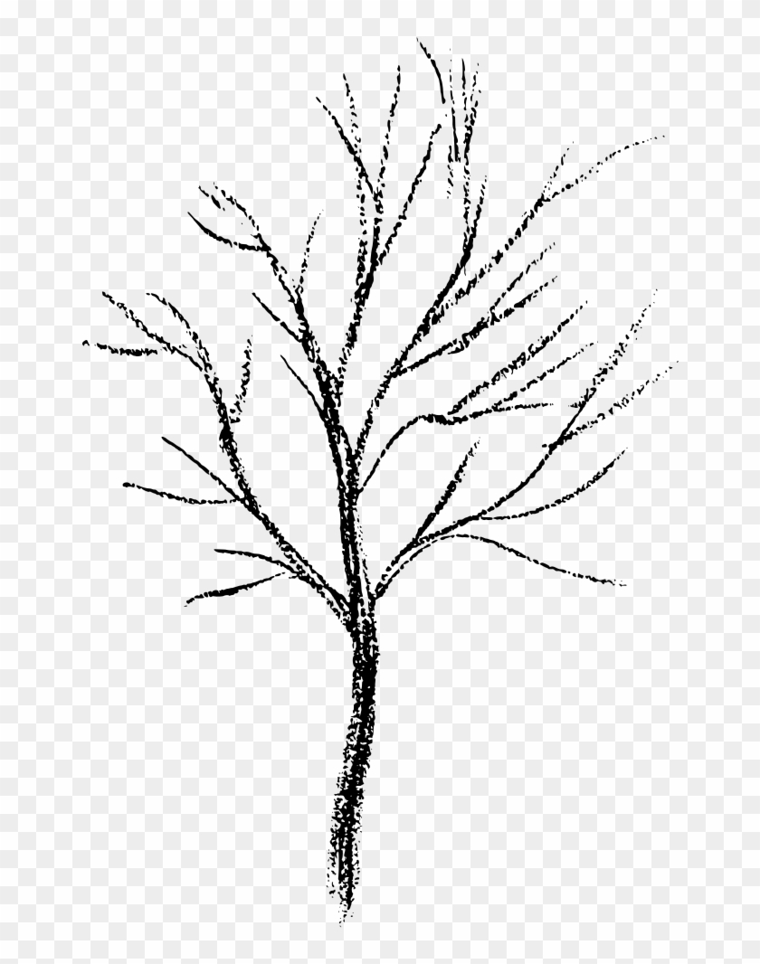 Dead Tree Royalty Free Clipart, Clip Art, Illustrations - Dead Tree Royalty Free Clipart, Clip Art, Illustrations #1585571