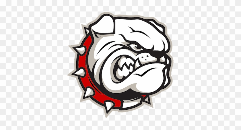 Bulldog Png Transparent Bulldogpng Images Pluspng - Bulldog Png Transparent Bulldogpng Images Pluspng #1585605