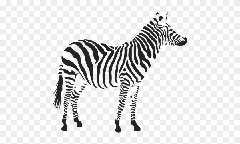 Free Png Download Zebra Png Images Background Png Images - Free Png Download Zebra Png Images Background Png Images #1585956