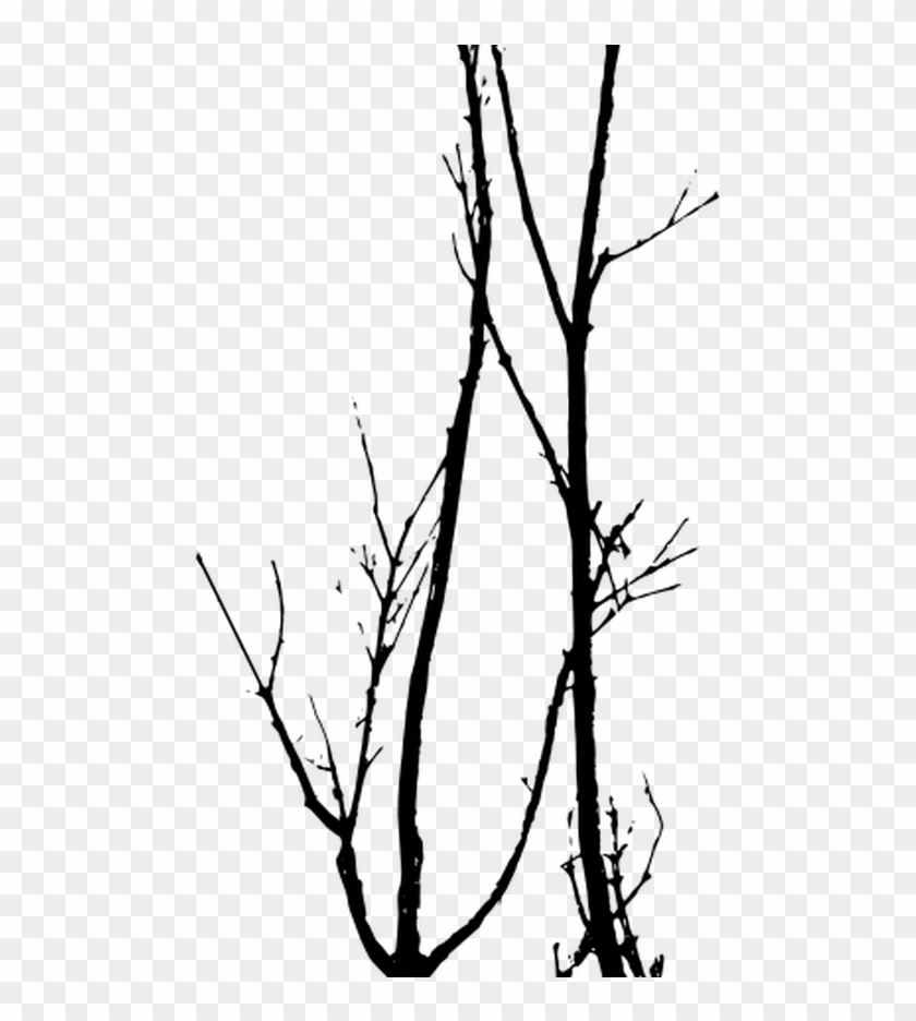 Dead Trees Vector Tree Silhouette Photoshop Pinterest - Dead Trees Vector Tree Silhouette Photoshop Pinterest #1586799
