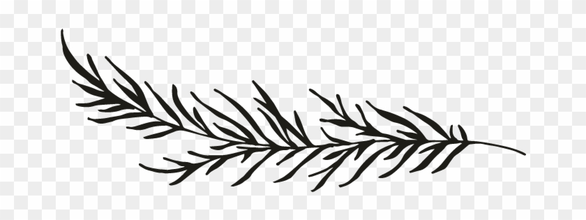 Branch - Branch #1587618