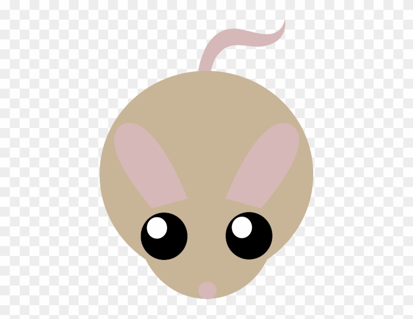 Jack Rabbit - Jack Rabbit #1587785