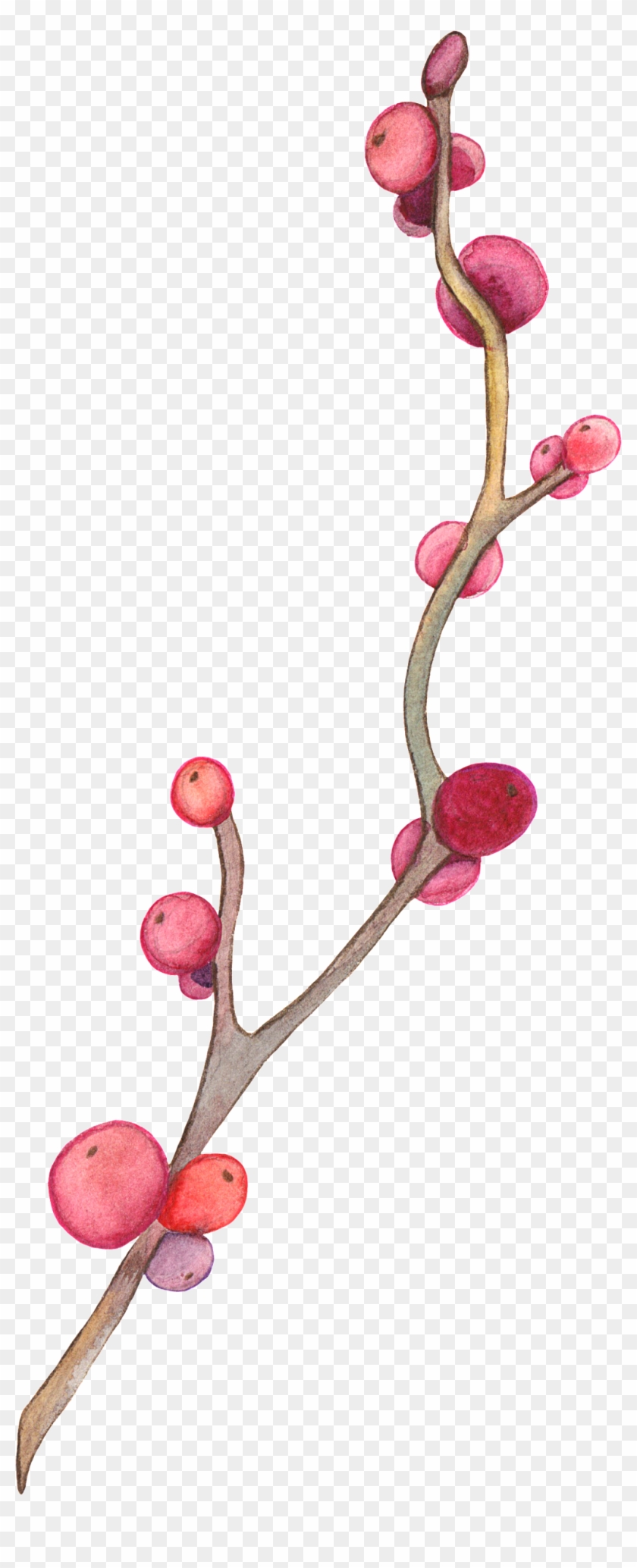 Branch - Branch #1588535