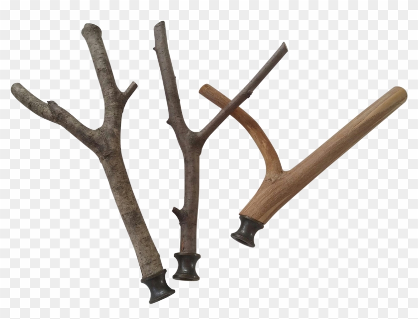 Wood #1588641