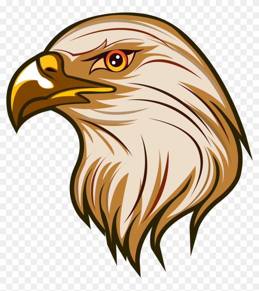 Download - Bald Eagle #1588794