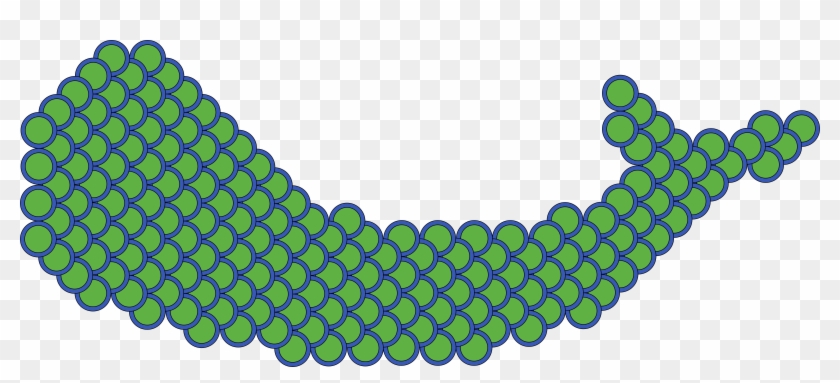 Scales Flattened Onto Fish - Scales Flattened Onto Fish #1588933