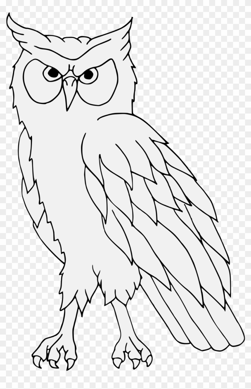 Owl Line Art Heraldry Free Frame - Gambar Burung Hantu Hitam Putih #1589710