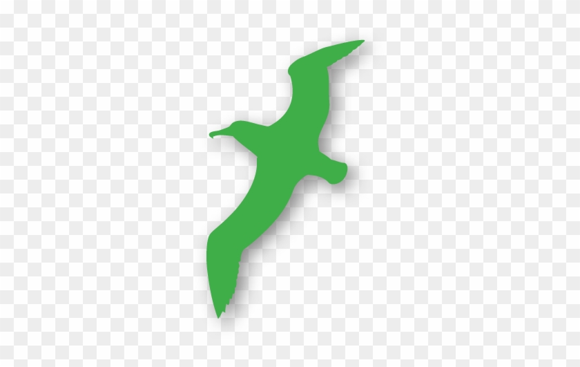 Pond-bird - Pond-bird #1589800