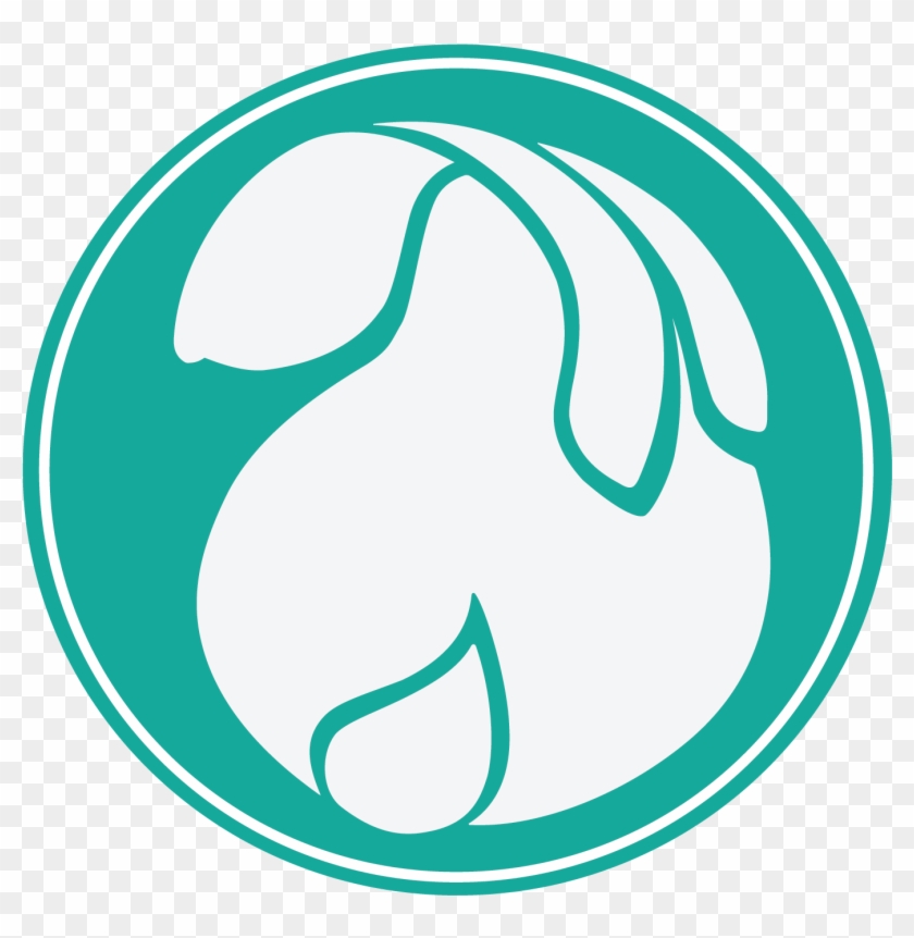 White Rabbit - White Rabbit #1589945