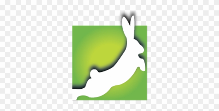 White Rabbit - Rabbit #1589963