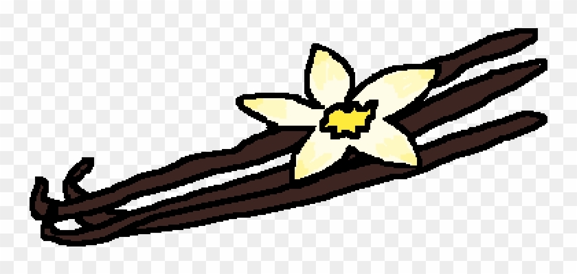 Vanilla Bean - Vanilla Bean #1590027