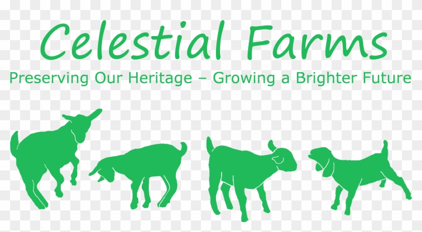 Goatsgreen - Cattle #1590385