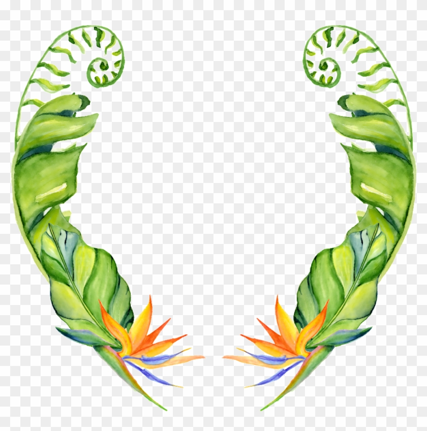 This Graphics Is Hand Painted Two Banana Leaves Png - Cách Vẽ Lá Chuối #1591382