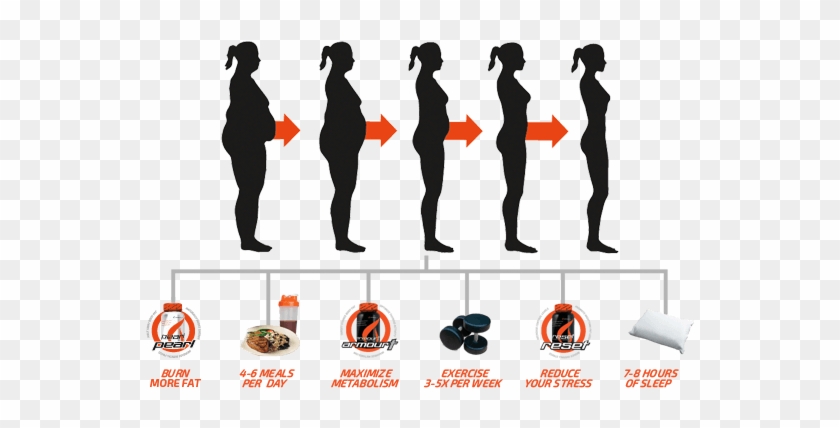 How Can The Cf24 Fat Loss System Help Me - Difference Between Fat Loss #1593089