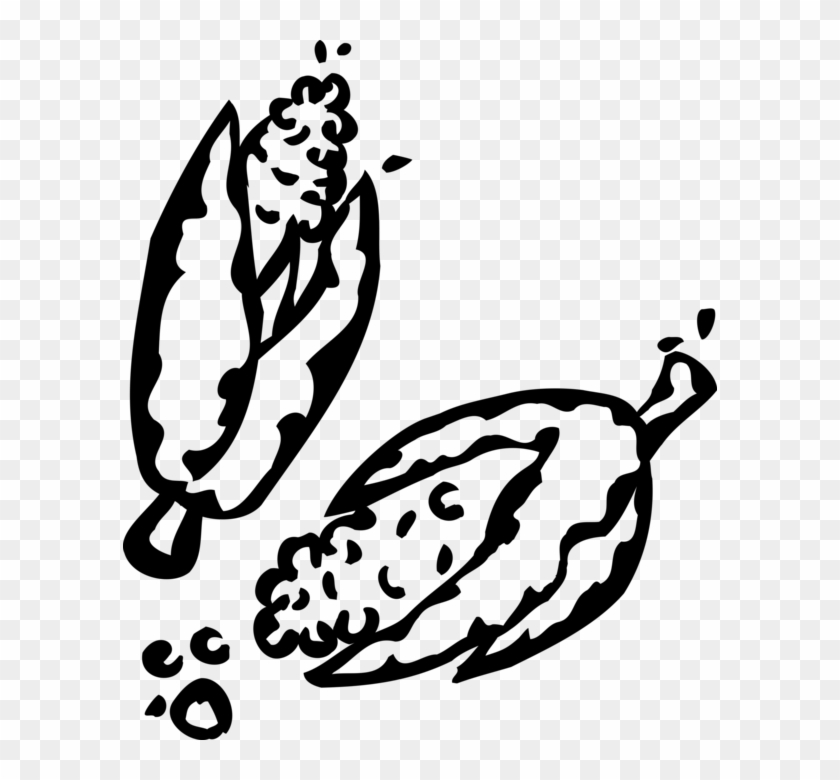 Vector Illustration Of Maize Corn On The Cob Grain - Vector Illustration Of Maize Corn On The Cob Grain #1594317