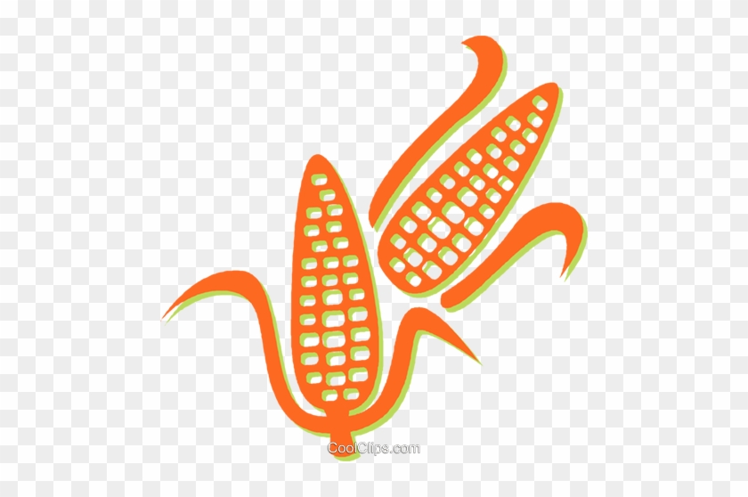Corn On The Cob Royalty Free Vector Clip Art Illustration - Corn Vector #1594323