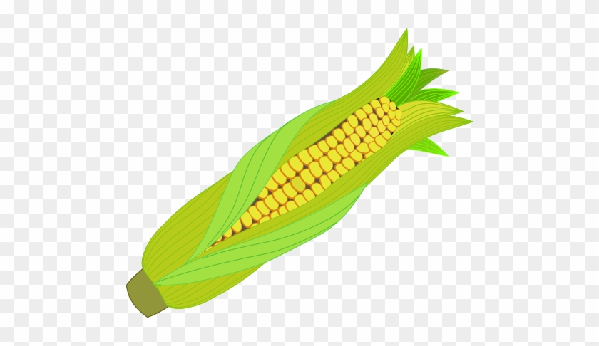 Icone Plantes Utiles - Corn Icon Png #1594346