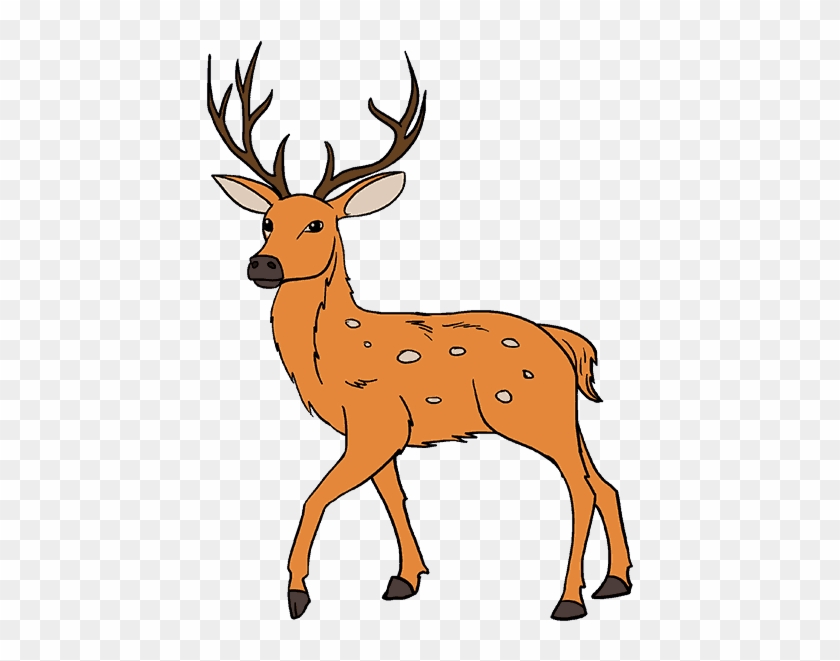 678 X 600 13 - Drawing Of Deer With Colour #1594468