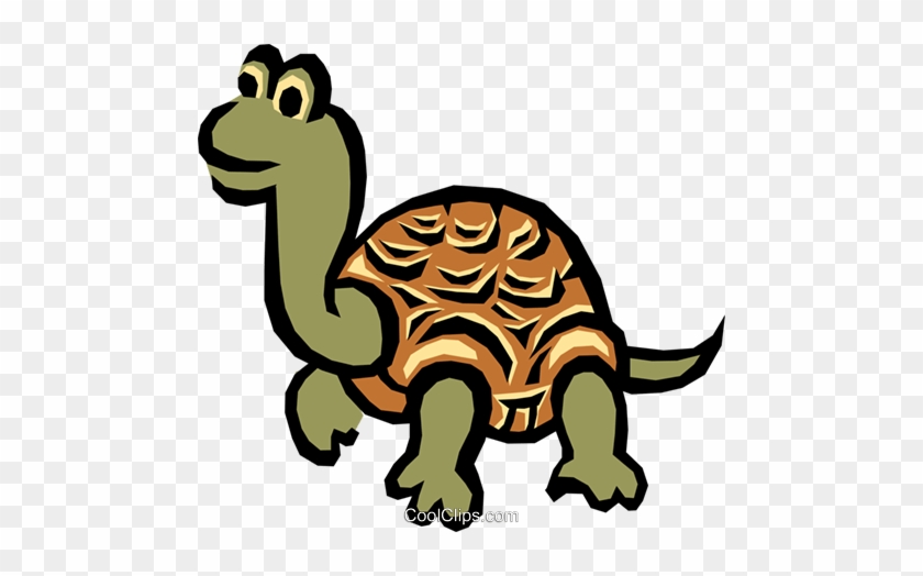 Tortoise - Tortue À Colorier #1596889