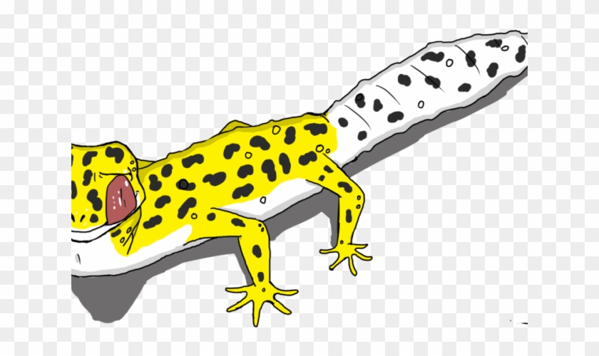 Leopard Lizard Clipart Computer - Common Leopard Gecko #1597814
