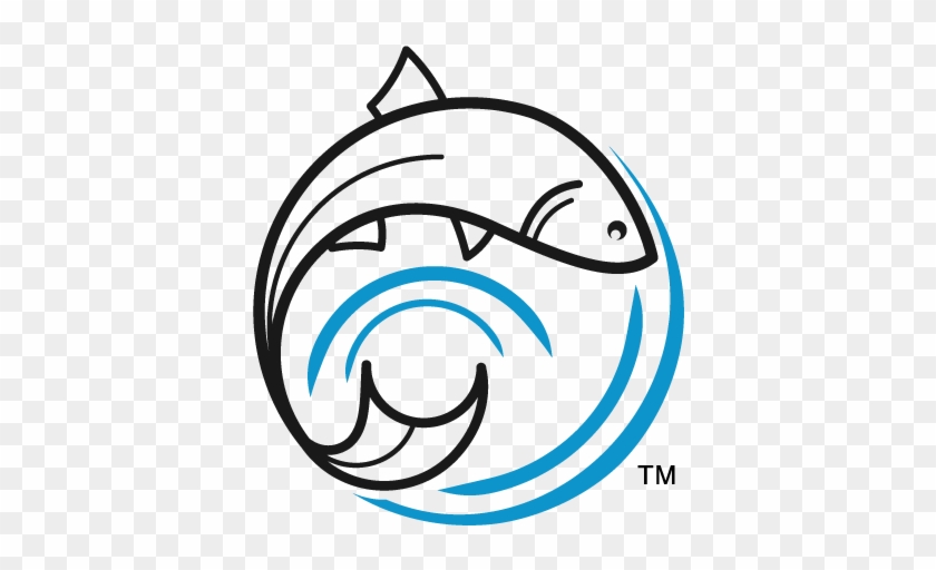 About One Fish Foundation - About One Fish Foundation #1597861