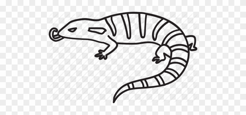 Amphibians Drawing Reptile - Blue Tongue Skink Drawing #1599485