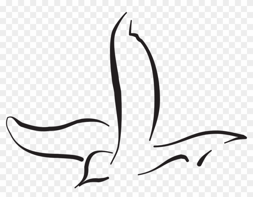 Vector Graphics, - Bird Vector Line Art #1599643