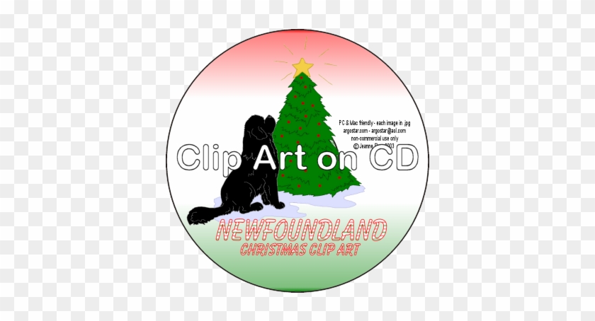 Christmas Tree #1599823