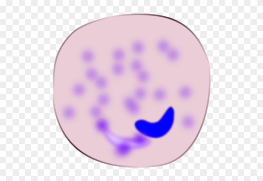 Circle #1602445