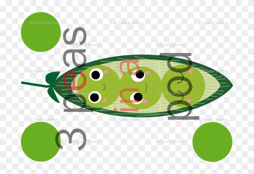 Circle #1603281
