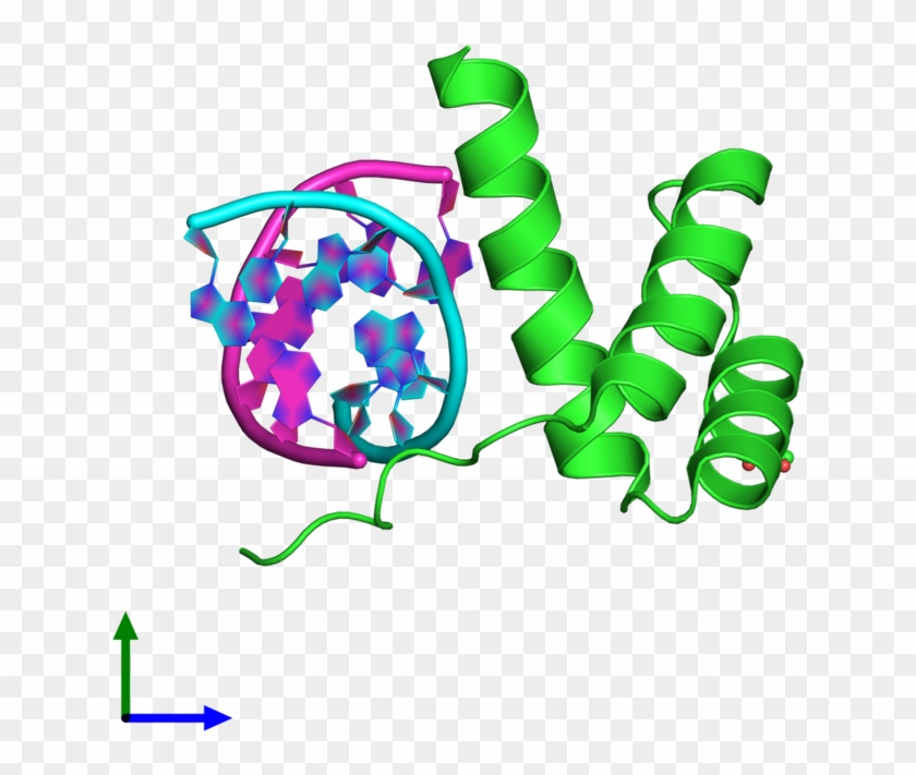 Pdb 3cmy Coloured By Chain And Viewed From The Front - Pax 1 Protein Structure #1603906