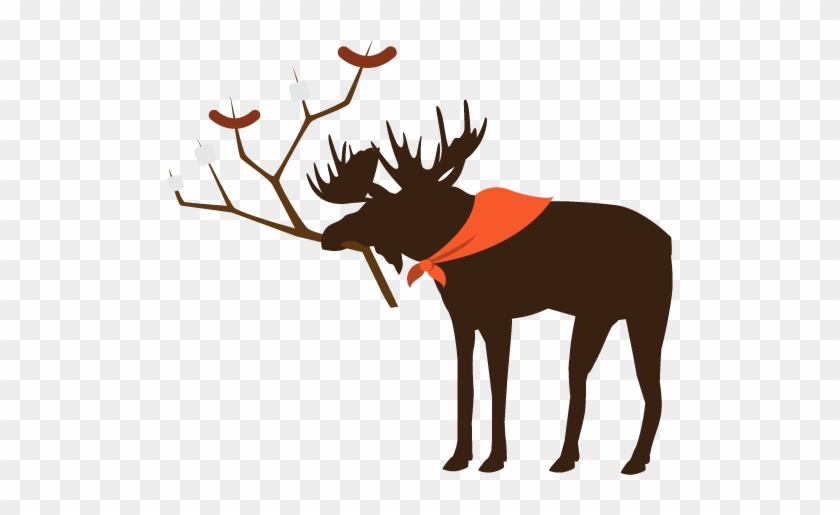 Summer Moose #1603908