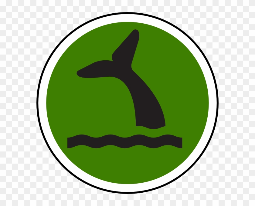 Cetaceans #247515
