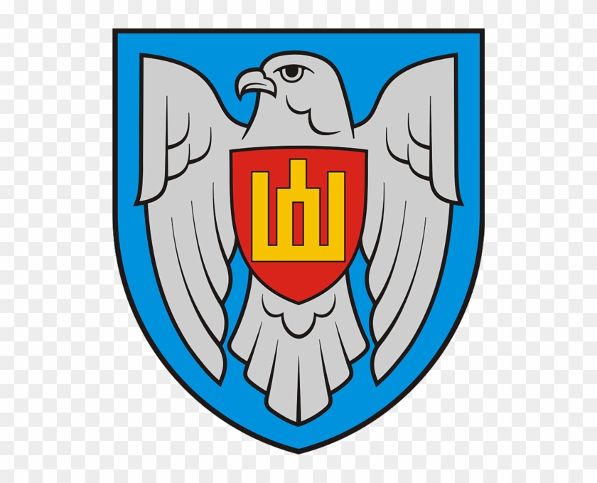 Lithuanian Air Force Emblem - Lietuvos Kariuomenes Oro Pajegos #248423