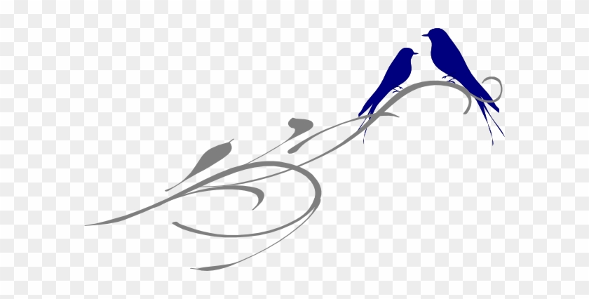 Bird #249083