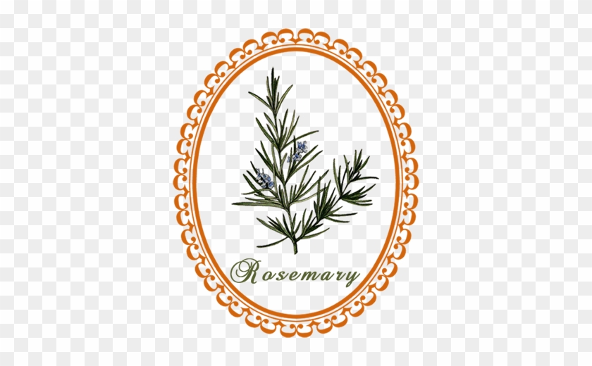 Rosemary - Mizzi Caspar #1605730