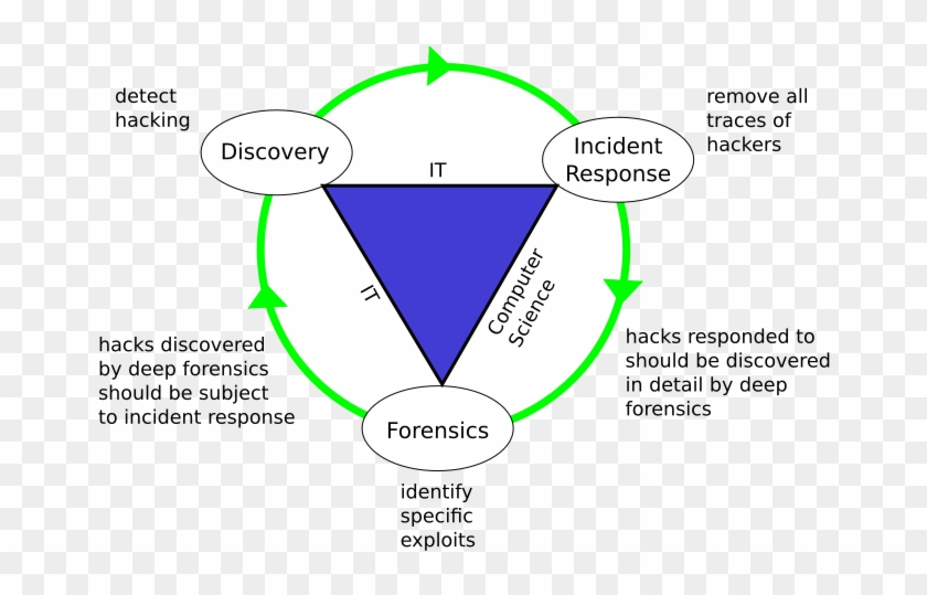 Digital Forensics Is The Meticulous Task Of Identifying - Brain Learning #1606785