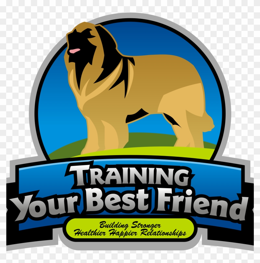 Training Your Best Friend Llc - Fipsas #1608955