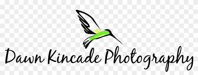 Dawn Bird Logo Horizontal Format=1500w - Dawn Bird Logo Horizontal Format=1500w #1609665